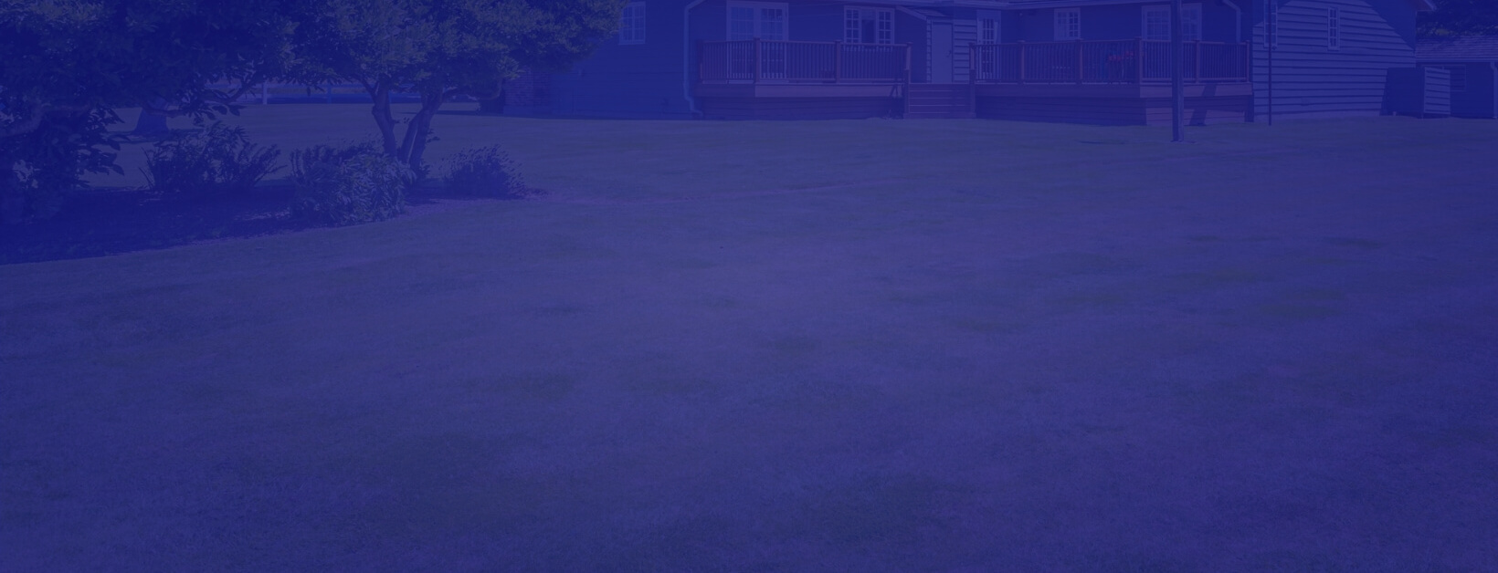 Yard image with blue foreground